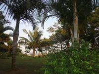 Aussicht vom Zimmer in St. Lucia