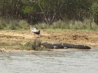 bitte nicht stoeren ! Habe letztes Jahr schon gegessen ! 