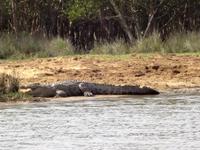 schau, ich habe auch kein Karies ! 