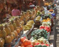Obststand in St. Lucia