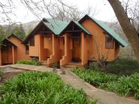 Mantenga Lodge, wieviele Meerkatzen ?