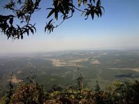 Gottes Fenster, ich glaube ich sehe Dresden