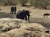 jetzt sind wir aber schmutzig !