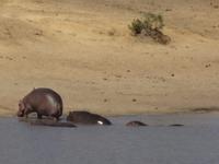 da ist so viel los, komm wir gehen 