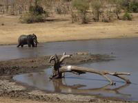 bin schon bis zu den Knien drin