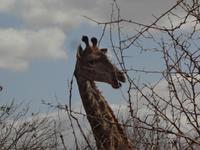 was, ich schau ulkig aus, Du auch 