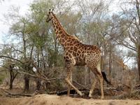 wo bist Du, ich komm nicht durch 