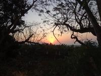 Morgenstund hat Gold im Mund