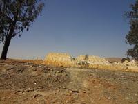 Da ist immer noch etwas Goldstaub drinnen ! 