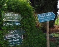 Devon Valley - Weinregion Stellenbosch