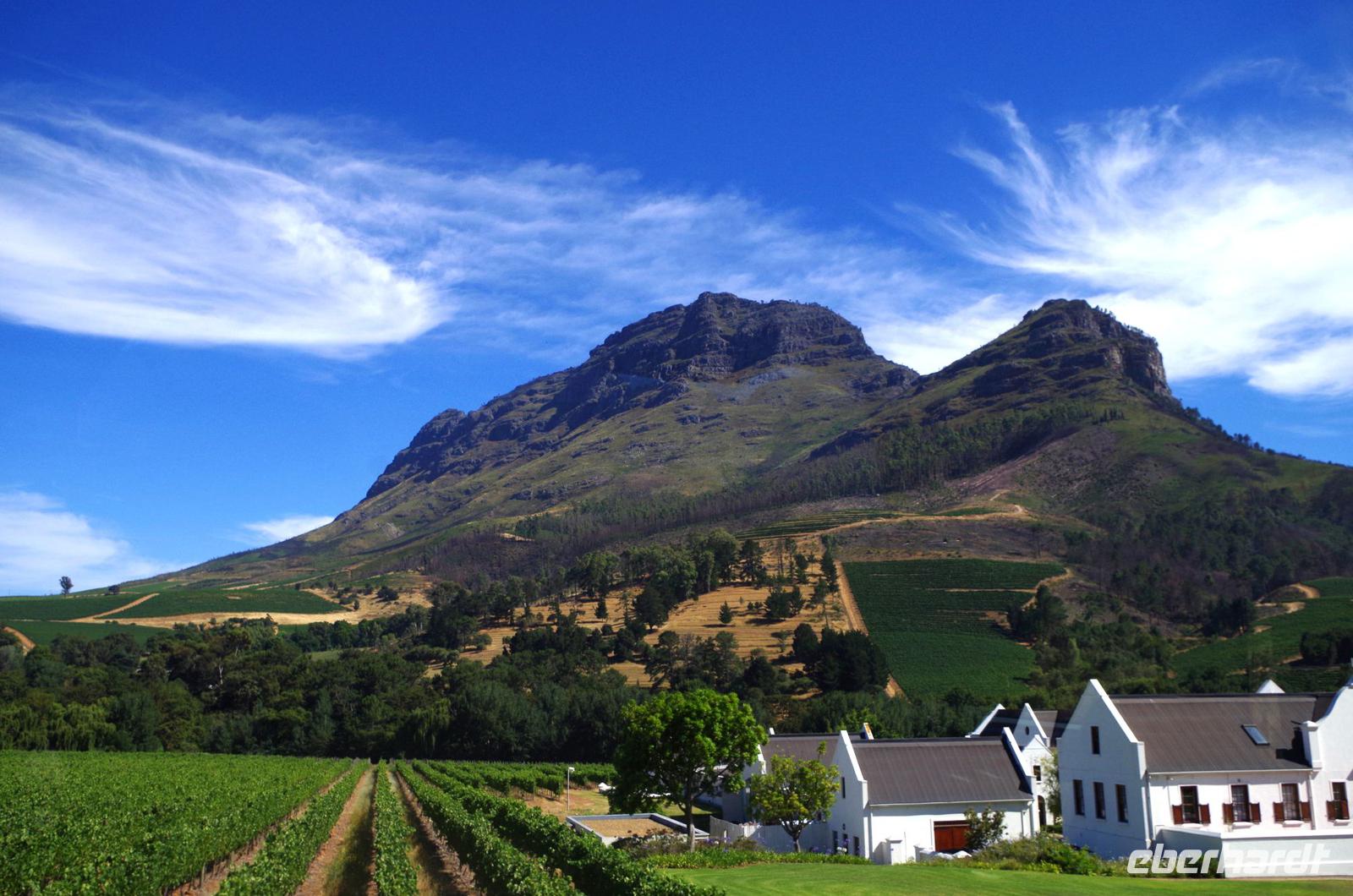 Rundfahrt in der Weinregion
