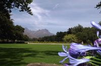 Weingut Blaauwklippen