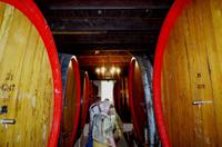 Weinkeller Blaauwklippen