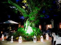 Sommer Serenade im Devon Valley Hotel