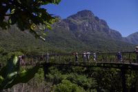 Botanischer Garten Kirstenbosch