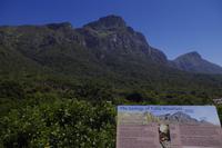 Botanischer Garten Kirstenbosch