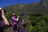 Botanischer Garten Kirstenbosch