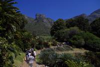 Botanischer Garten Kirstenbosch