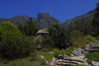 Botanischer Garten Kirstenbosch