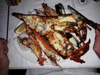 Silvester Dinner - Seafood maximal