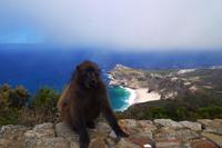 Neujahrsausflug ans Kap