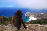 Kap der Guten Hoffnung