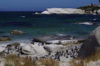 Boulders Beach - Pinguine