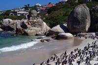 Boulders Beach - Pinguine