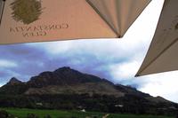 Boutique Weingut Constantia Glen 