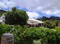 Boutique Weingut Constantia Glen 
