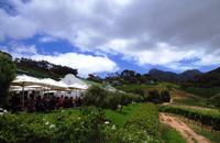 Boutique Weingut Constantia Glen 