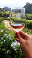 Boutique Weingut Constantia Glen