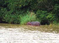 St. Lucia - Bootsfahrt