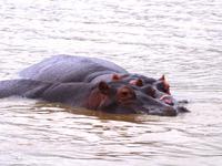 St. Lucia  - Bootsfahrt