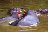 St. Lucia  - Bootsfahrt