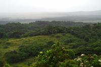 Ausflug nach Cape Vidal