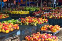 Fahrt nach Swaziland