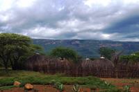 Swaziland - Bienekörbe