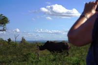 Pirschfahrt im Mhkaya Reservat