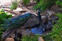 Unterwegs in Swaziland