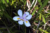 Unterwegs in Swaziland