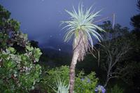 Misty Mountain Lodge - Mystische Berge im Regen