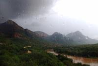 Regen am Olifants River