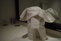 Indaba Hotel - Johannesburg