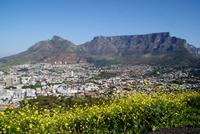 Tafelberg in Kaptstadt im Frühling (Oktober 2017)