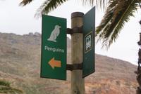 Boulders Beach mit Pinguinenkolonie