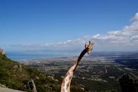 Ein schöner Blick auf die Küste