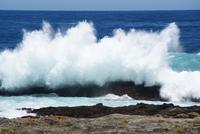Wanderung im Tsitsikama Nationalpark