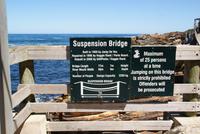 Beschreibung zur Hängebrücke 