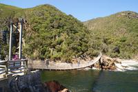 Wanderung im Tsitsikama Nationalpark